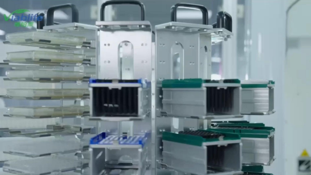 Viablife Nicotinamide Production: Πρωτοποριακές νέες τεχνολογίες για ένα βιώσιμο μέλλον