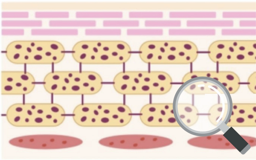 Η Διπλή Επανάσταση: Από την Επισκευή στην Ανθεκτικότητα The Dual Revolution: From Repair to Resilience